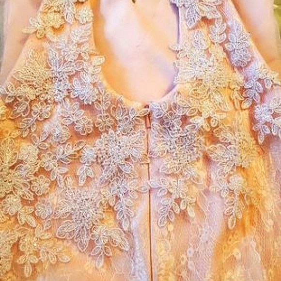 iNtrigue by Blush Pink size 6 Elegant Gown - Picture 7 of 12